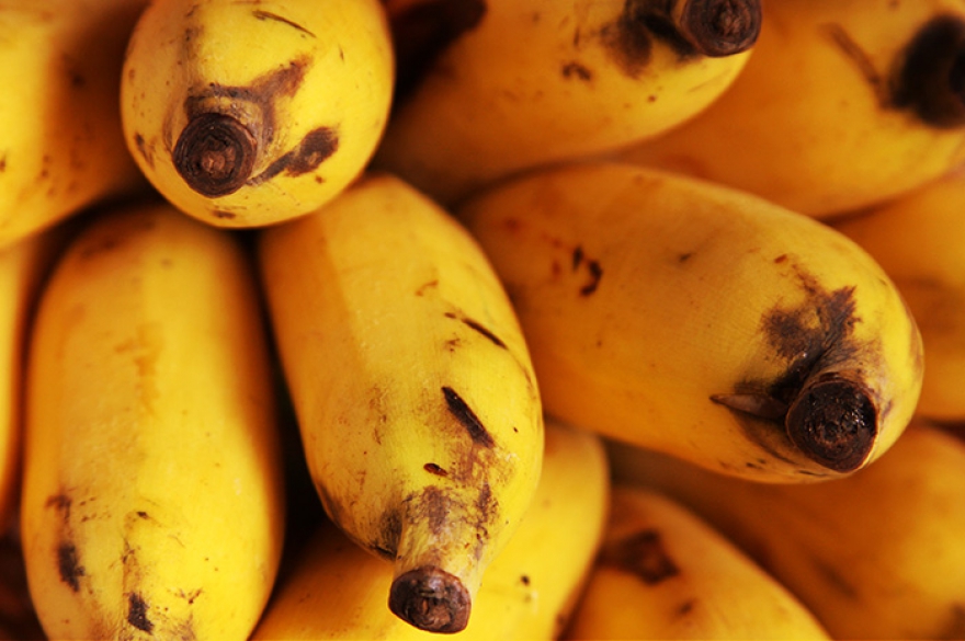 Сыроедение в западной практике называется Raw Foodism и в целом значит отказ от пищи, прошедшую любую тепловую обработку — от варки до копчения и